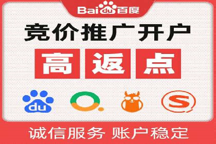 某公司如何利用SEO和SEM提升线上业务——真实案例分析